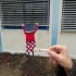 SAM_0172