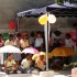 LANCEMENT-HAITI-2010-014