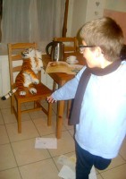 Dylan Chase - J'AI UN LION A LA MAISON!