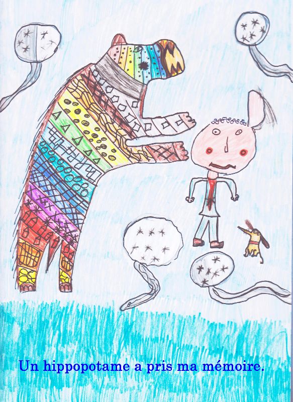 hippopotame texte